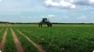 Agriculture - Sustainable Farming