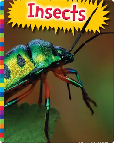 Insects book