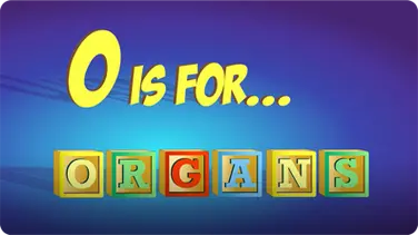 O is for Organs book