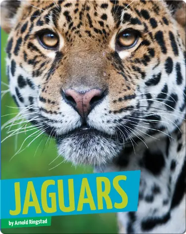 Jaguars book