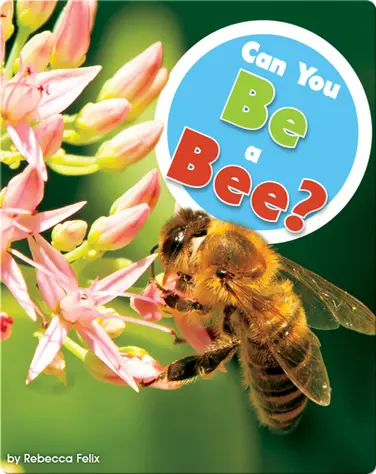 Can You Be a Bee? book