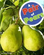 A Pair Of Pears