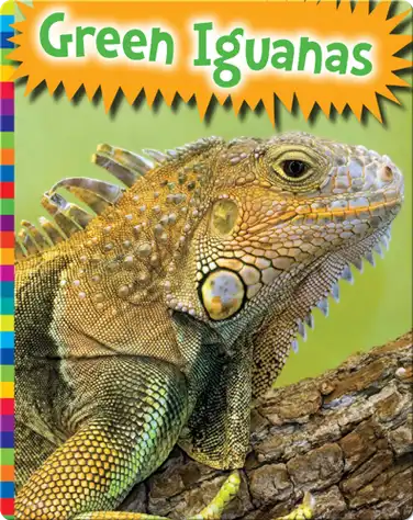 Green Iguanas book