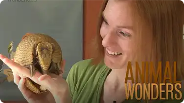 How Do I Do What You Do? book