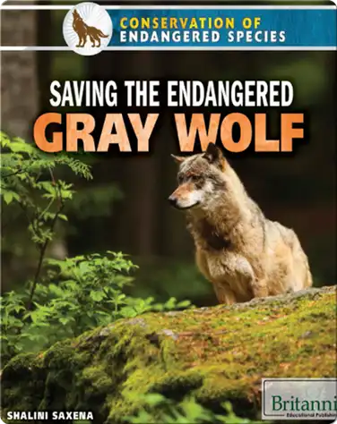 Saving the Endangered Gray Wolf book