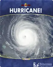 Hurricane!