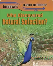 Who Discovered Natural Selection?