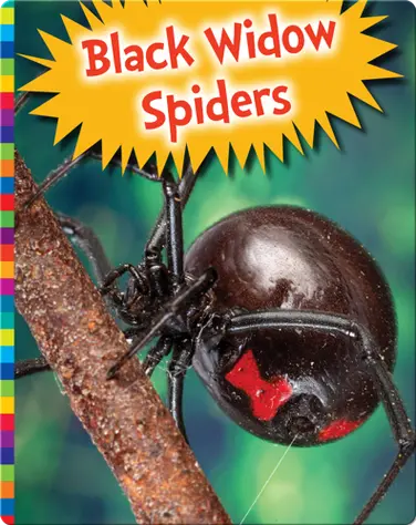 Black Widow Spiders book