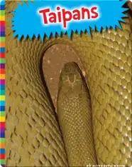 Taipans