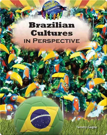 Brazilian Cultures in Perspective book