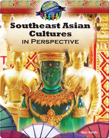 Southeast Asian Cultures in Perspective book