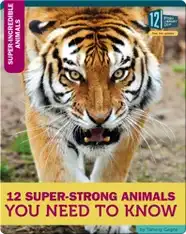 12 Super-Strong Animals You Need To Know
