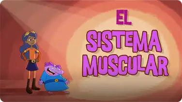 El sistema muscular book