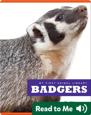 My First Animal Library: Badgers book
