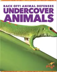 Back Off! Undercover Animals
