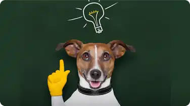 How Smart Is Your Dog? book