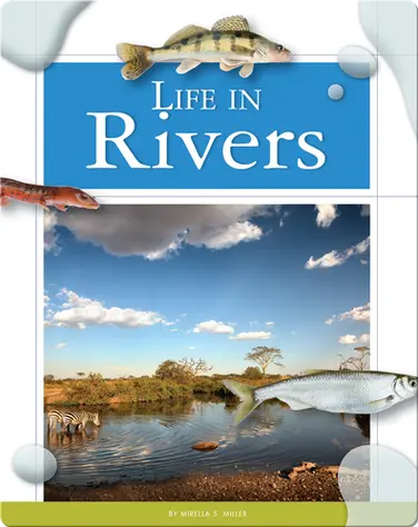 Life in Rivers book