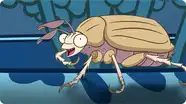 I'm a Junebug