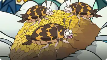 I'm a Carpet Beetle book