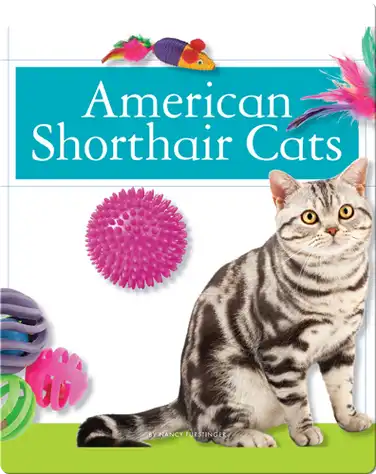 American Shorthair Cats book