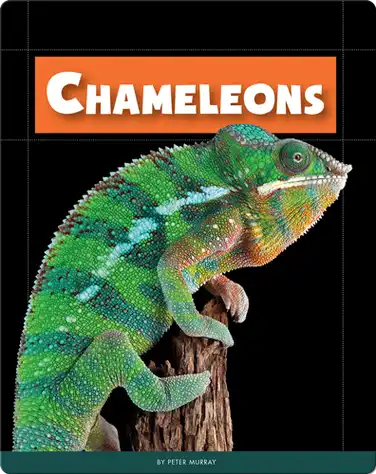 Chameleons book