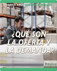 ¿Qué son la oferta y demanda?