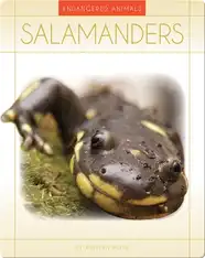 Salamanders