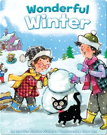 Wonderful Winter book