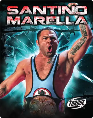 Santino Marella book