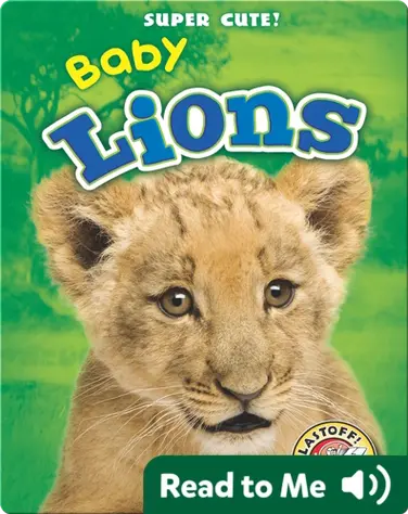 Super Cute! Baby Lions book