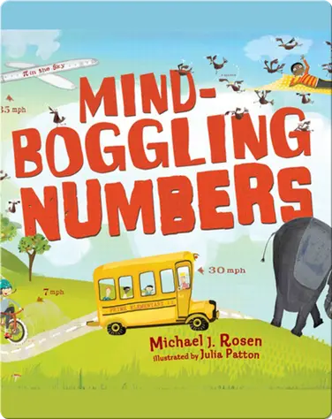 Mind-Boggling Numbers book