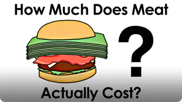 How Much Does Meat Actually Cost? book
