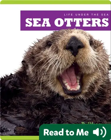 Life Under The Sea: Sea Otters book