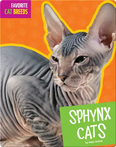 Sphynx Cats book