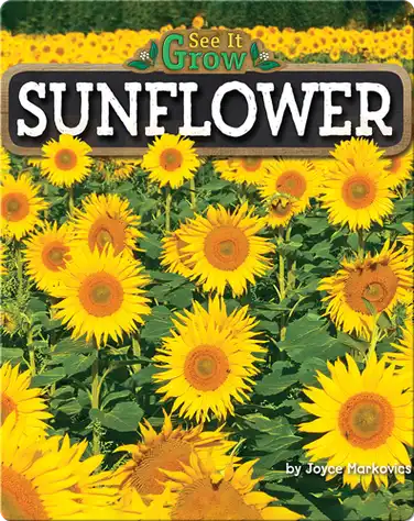 Sunflower (See It Grow) book