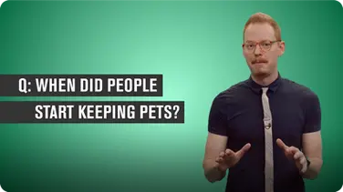When Did People Start Keeping Pets? book