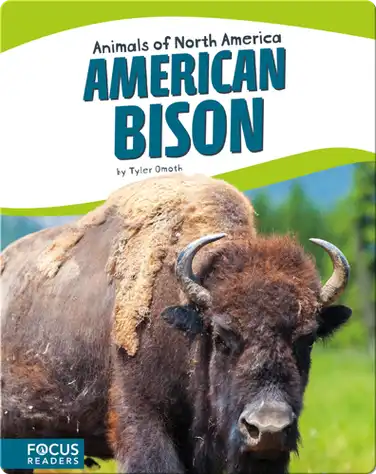 American Bison book