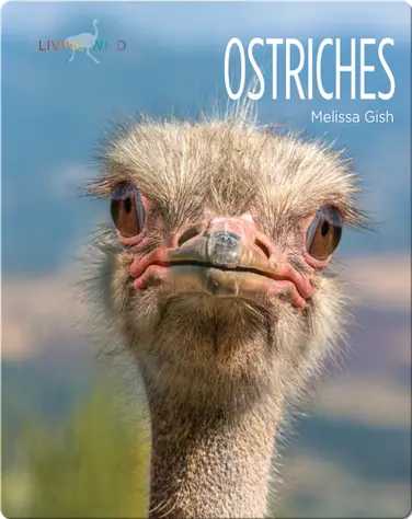 Ostriches book