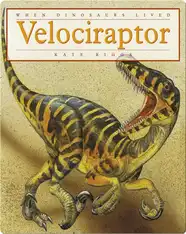 Velociraptor