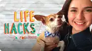 Dog Hacks | LIFE HACKS FOR KIDS