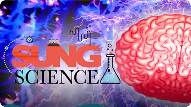 'The Insane Brain!' | SUNG SCIENCE book
