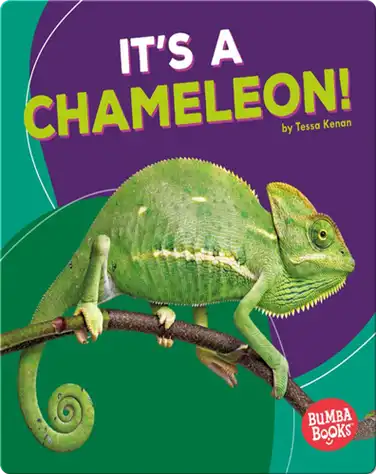 It's a Chameleon! book