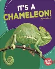 It's a Chameleon!