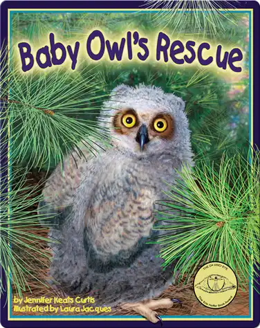 Baby Owl's Rescue book