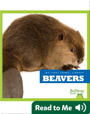 My First Animal Library: Beavers book