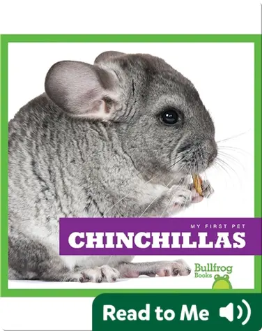 My First Pet: Chinchillas book