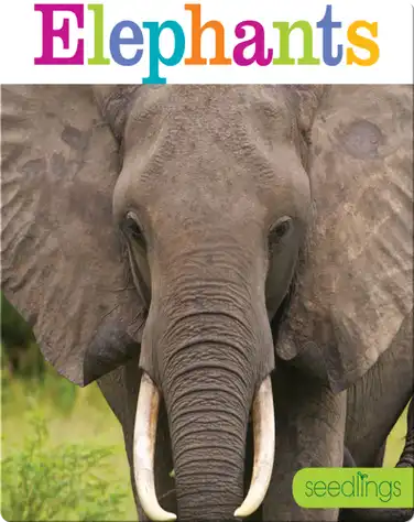 Elephants book