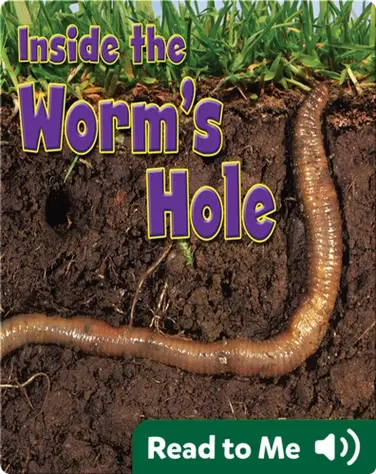 Inside the Worm’s Hole book