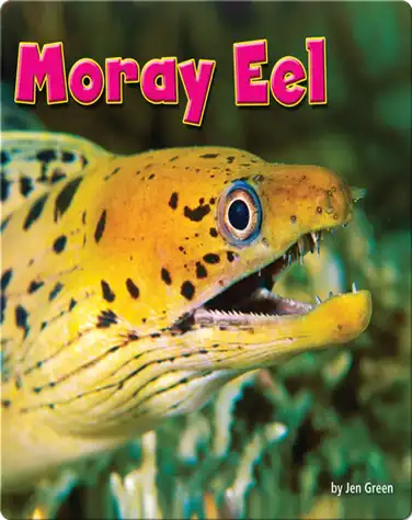 Moray Eel book