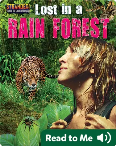 Lost in a Rain Forest book